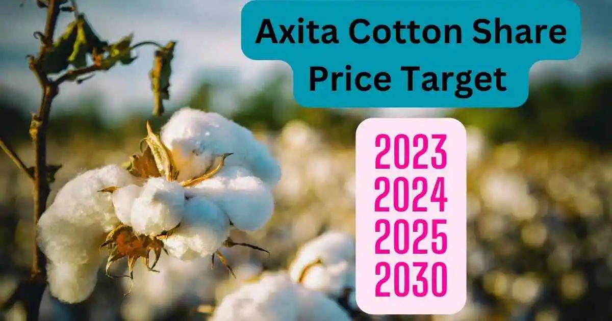 axita cotton share price target 2023,2024,2025,2030 तक की जानकारी। अक्षिता कॉटन शेयर प्राइस टारगेट 2023,2024,2025,2030