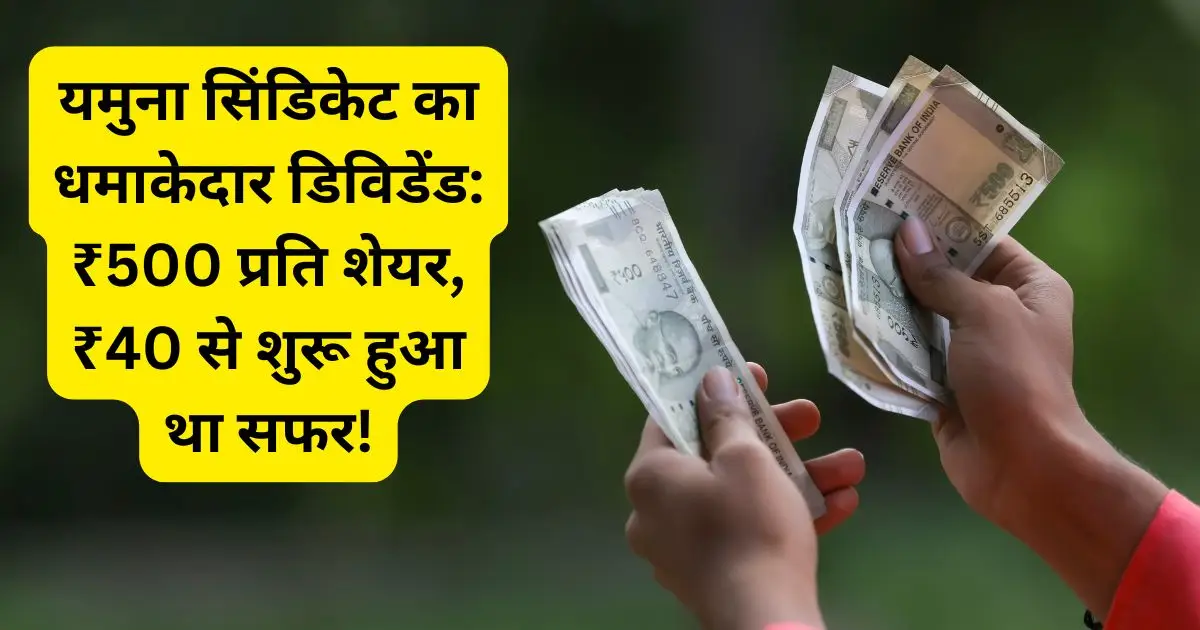 यमुना सिंडिकेट का धमाकेदार डिविडेंड: ₹500 प्रति शेयर, ₹40 से शुरू हुआ था सफर!