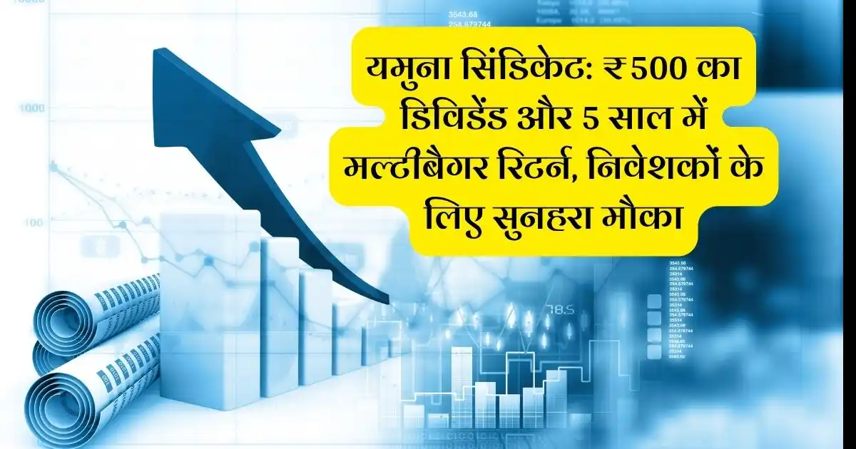 यमुना सिंडिकेट: ₹500 का डिविडेंड और 5 साल में मल्टीबैगर रिटर्न, निवेशकों के लिए सुनहरा मौका